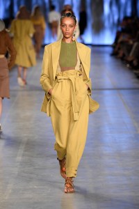 Alberta Ferretti RTW Spring 2020
