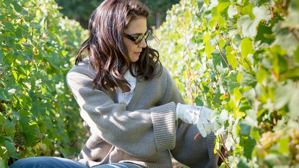 Katie Holmes Helps Out With French Champagne Harvest
