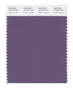 Grape Compote 18-3513
