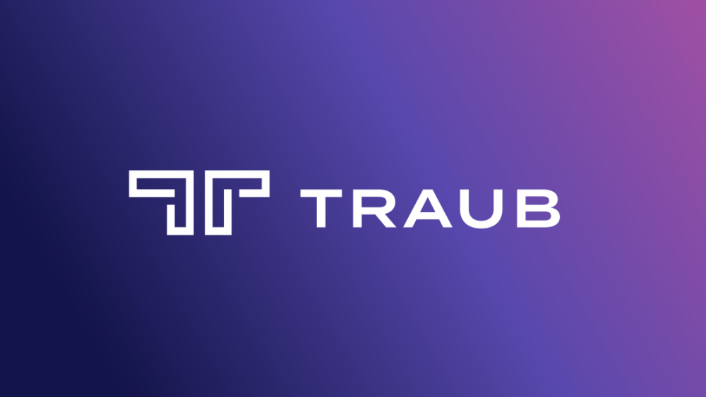 Traub Consulting Firm