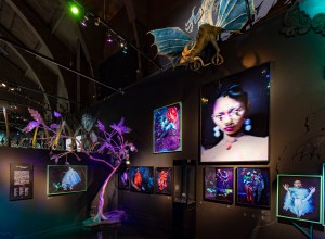 Tim Walker 'Wonderful Things' Exhibition