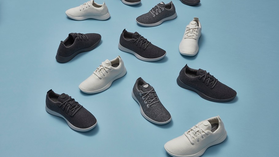Allbirds are a popular DTC footwear brand