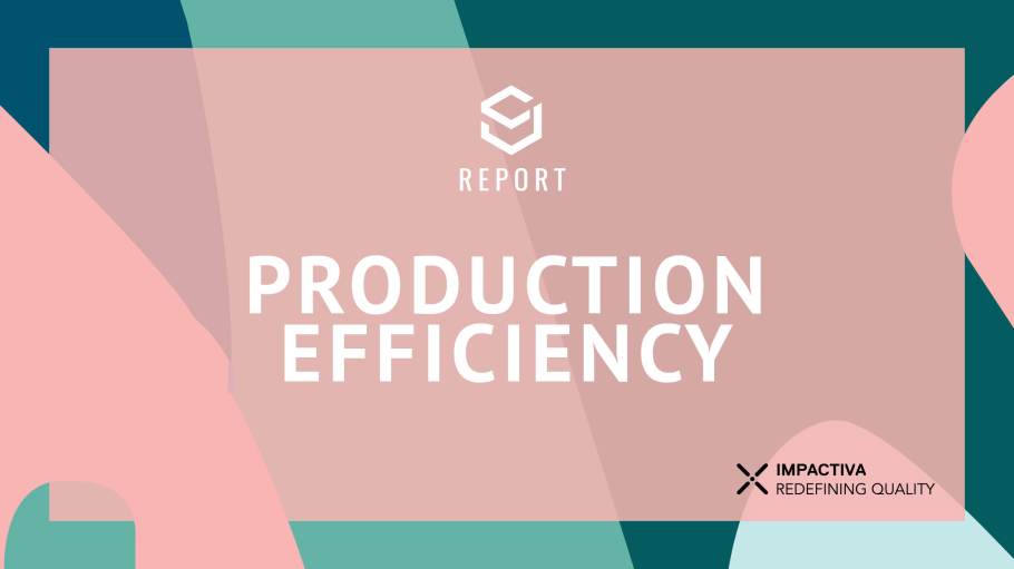 Production Efficiency Survey Report