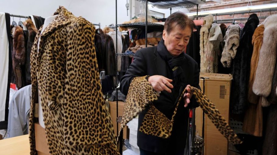 The Golden State is now America’s first to ban the sale and production of new products from rabbits, minks and other fur-bearing animals.