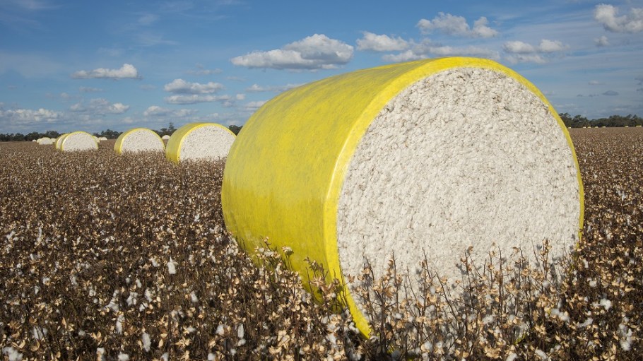 The Better Cotton Initiative said this week that in the first half of 2019 it welcomed 200 new members across its membership categories.