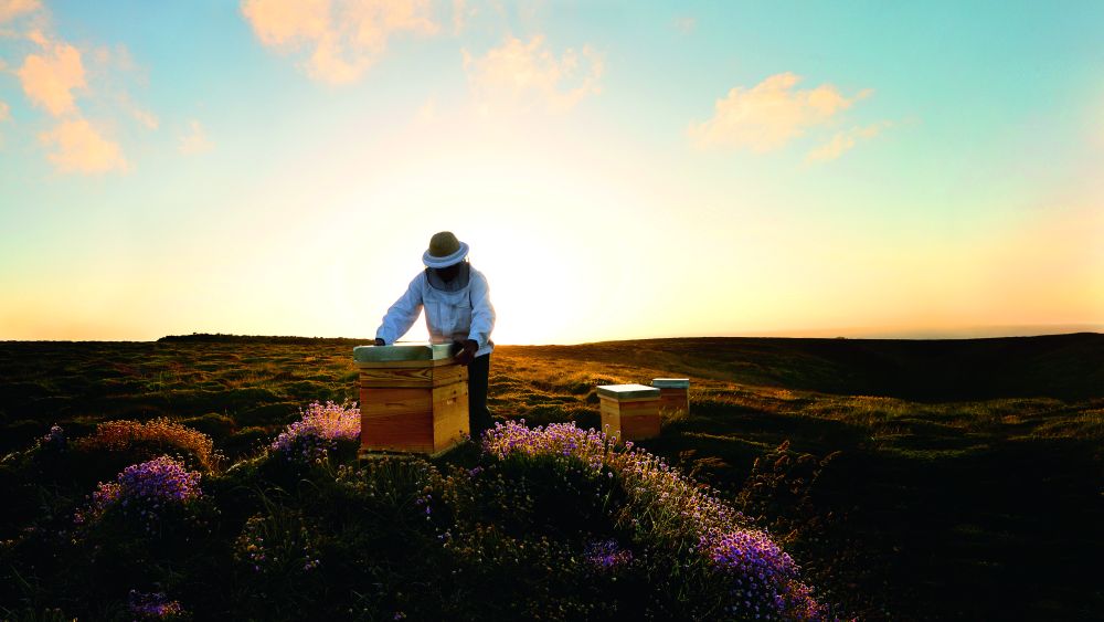A beekeeper