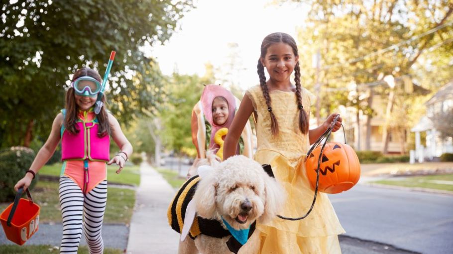 Halloween enthusiasts refuse to have their whimsical impulses dashed by the threat of recession.