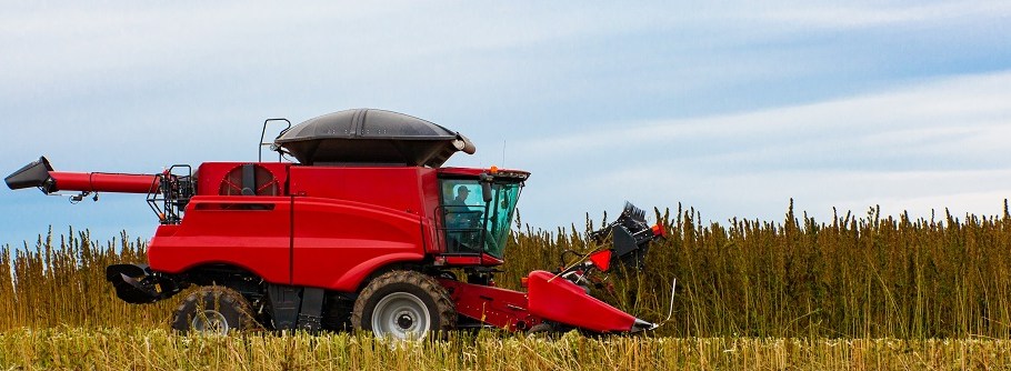 The USDA released its ruling on how to produce hemp, considered an important new raw materials for natural fibers and CBD products.
