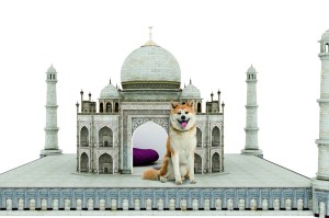 A ÒparadiseÓ doghouse, from NeimanÕs fantasy gift assortment.