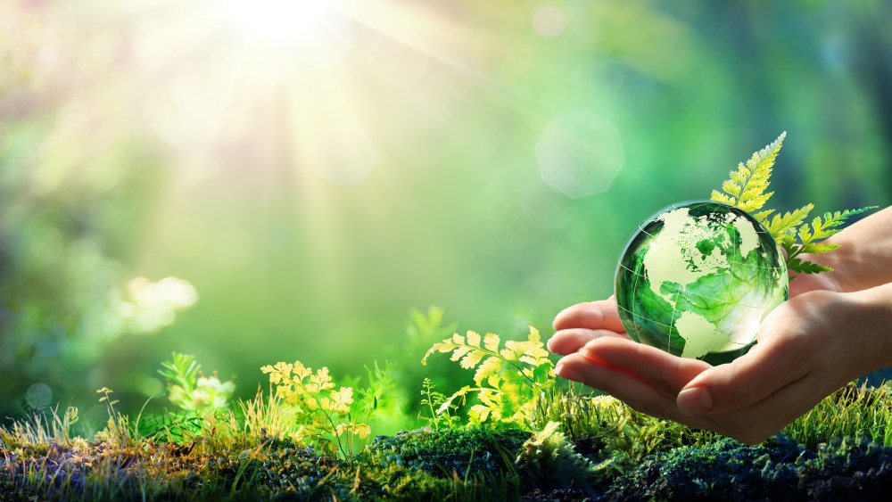 Sustainability