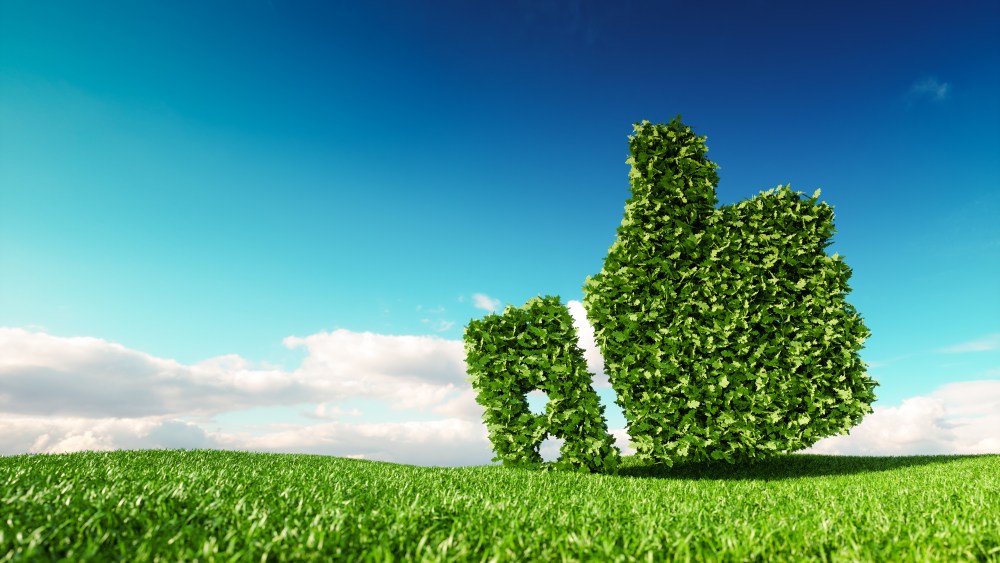 sustainability