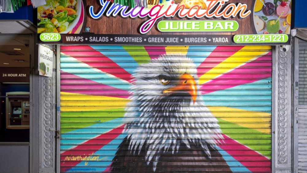 The bald eagle mural, part of the Audubon Mural Project