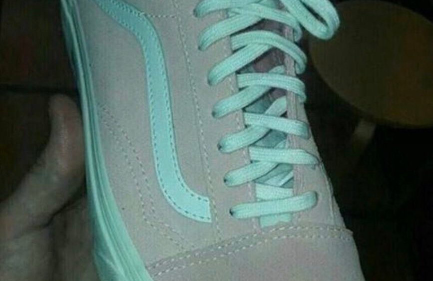 Vans Sneaker Color Debate: Pantone Expert Weighs In