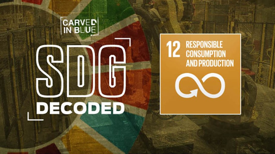 Carved in Blue examines SDG Decoded 12