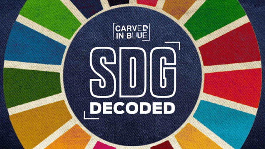 Carved in Blue SDG Decoded