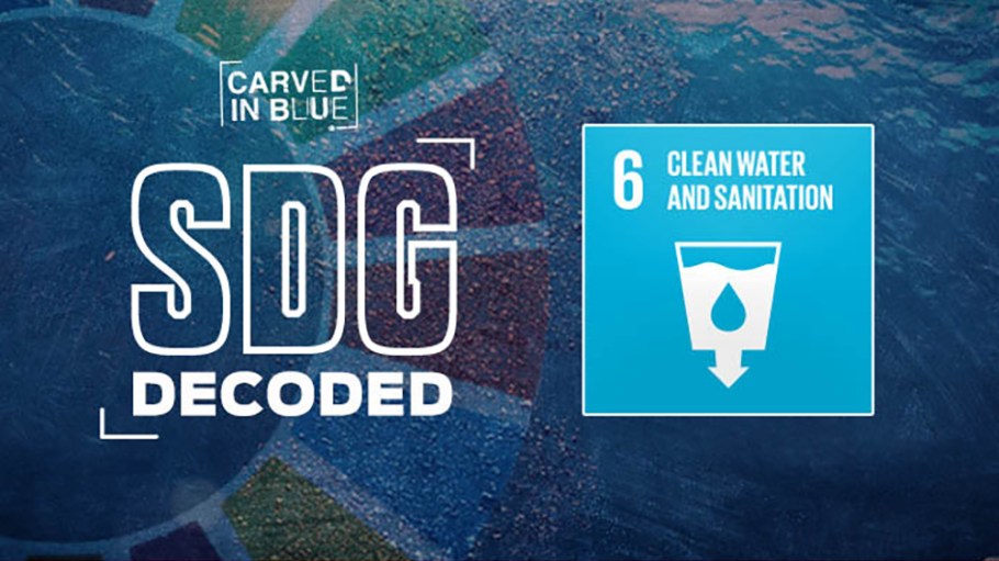 SDG 6 Carved in Blue