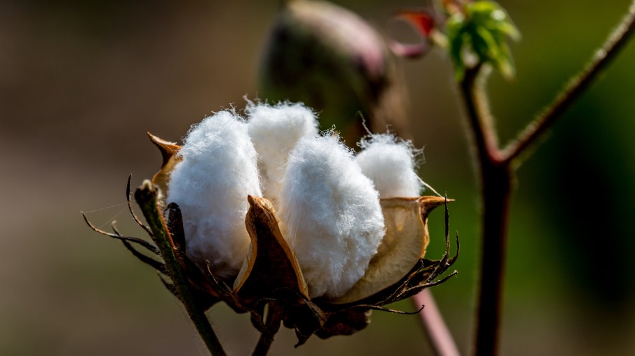 Levi’s Paul Dillinger says circular design and governments can advance sustainability by promoting textile recycling infrastructure.