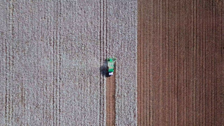 The National Cotton Council said the USDA's release of new Market Facilitation Program payments came at just the right time.