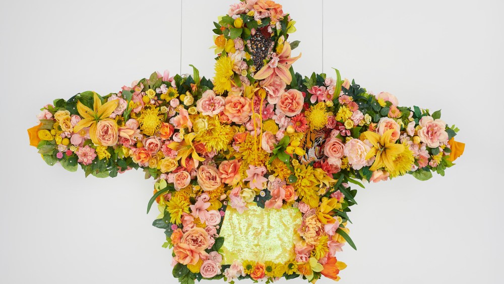 February II, 2019 by Devan Shimoyama.