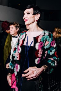 Amy Fine-Collins