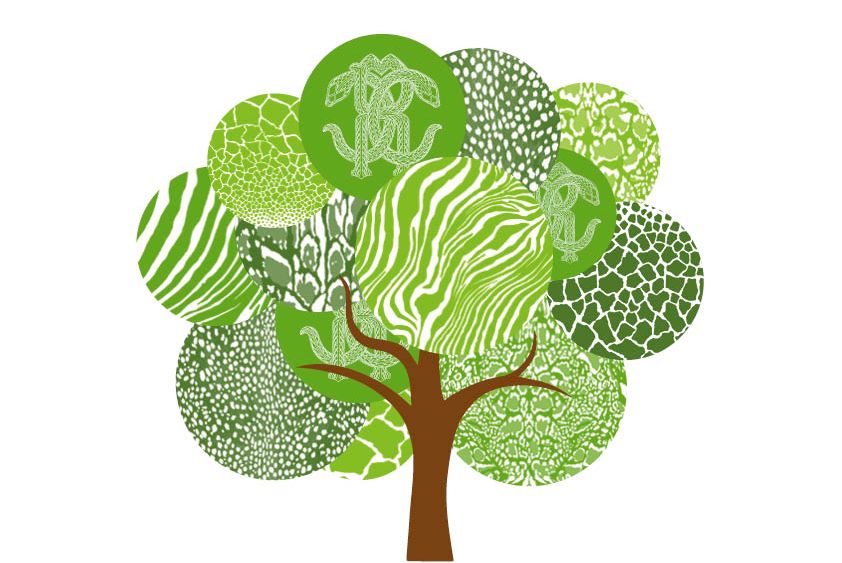 Roberto Cavalli launching a green initiative with Treedom.