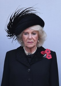 Camilla Duchess of Cornwall
Remembrance Day Service, The Cenotaph, Whitehall, London, UK - 10 Nov 2019