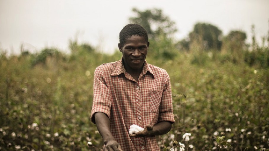 Four key cotton and coffee associations are forming the Delta Project to align the measurement and reporting of sustainability on the farm.