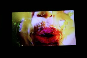 The scene at the Marilyn Minter x Playboy party.