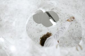 Neri Oxman and The Mediated Matter Group. Silk Pavilion. 2013. View through Silk Pavilion apertures as the silk worms skin the structure.