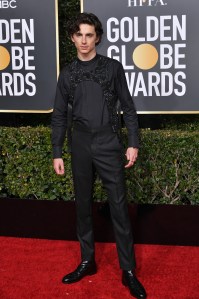 Timothee Chalamet76th Annual Golden Globe Awards, Arrivals, Los Angeles, USA - 06 Jan 2019Wearing Louis Vuitton