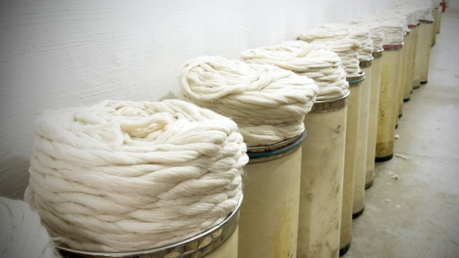 Following a rollercoaster year, cotton prices have stabilized, but some volatility remains in the forecast.