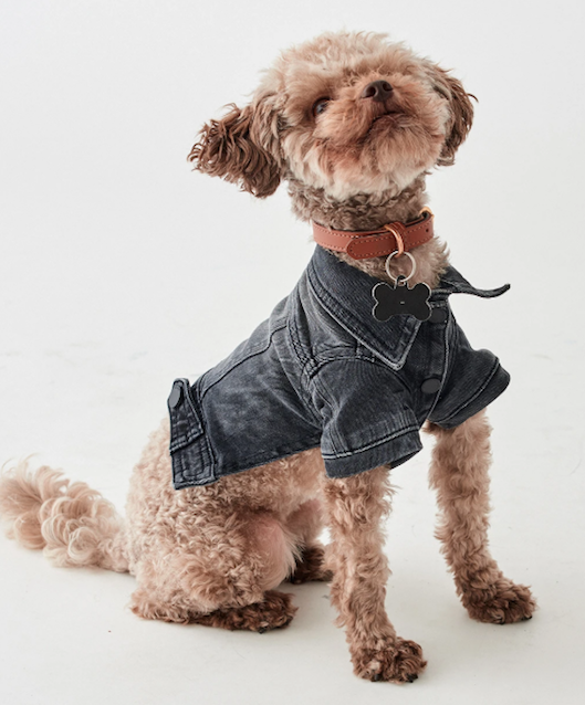 Make Blue Monday less sad (but more blue) with quirky denim featuring inspirational quotes, positive messages and bright colors.