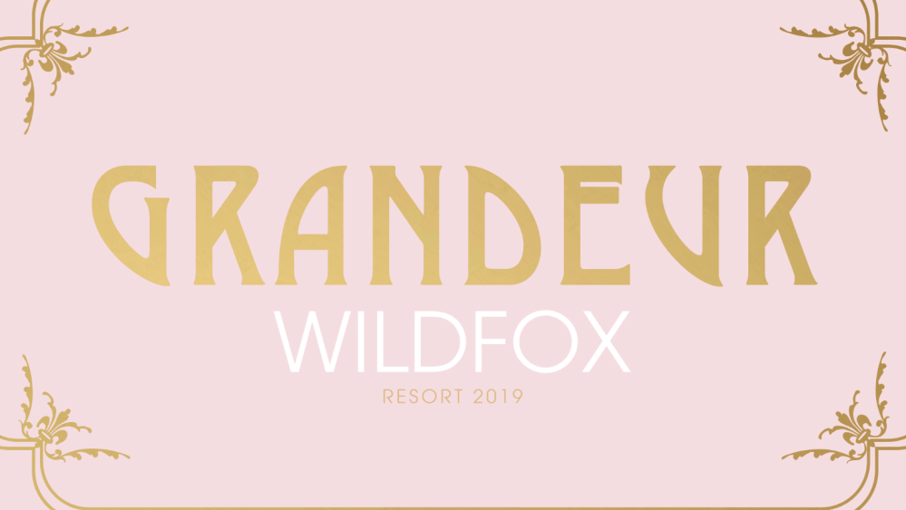 Imagery from Wildfox's last collection, from early 2019.