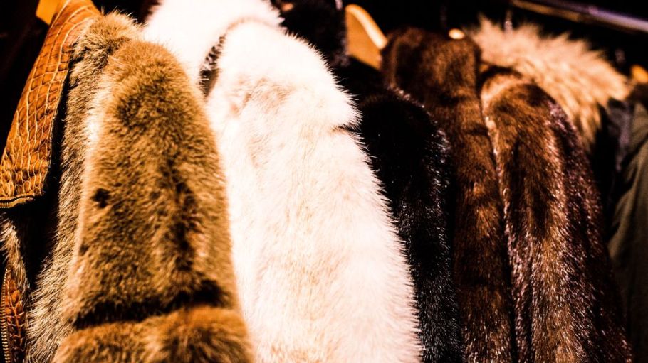 The International Fur Federation, representing 40 countries, is suing San Francisco for attempting to “legislate morality” by banning fur.