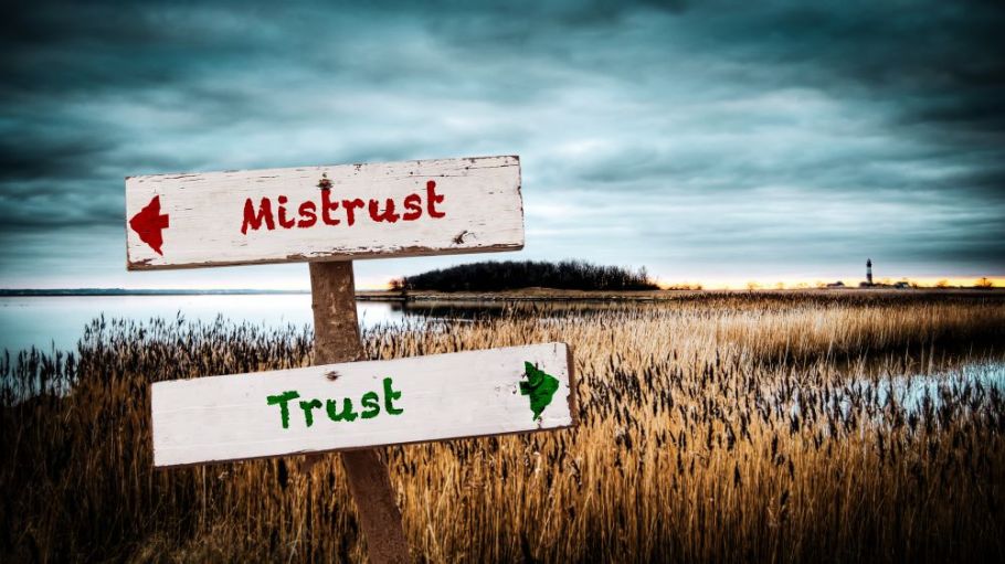 In an age of doubt, consumers no longer trust online information, but firms can build consumer trust by focusing on five key essentials.