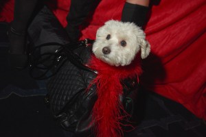 Backstage at The 16th Annual Red Dress Collection Fashion Show.