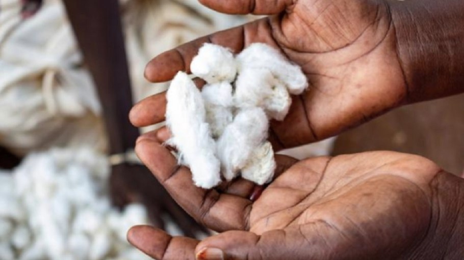 Better Cotton Initiative wants the FTC to use broader criteria as it updates its Green Guides.