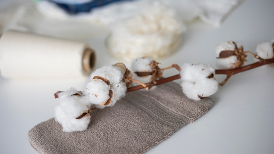 Hohenstein will be among the first labs accredited to test cotton seeds for GMOs and products from any state along the supply chain.