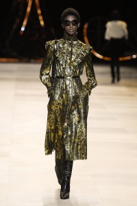 Celine RTW Fall 2020
