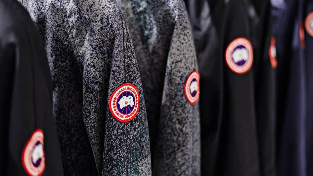 Canada Goose