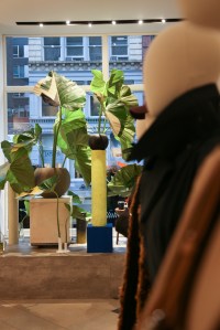 Phillip Lim's fall collection party.