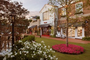 Palisades Village