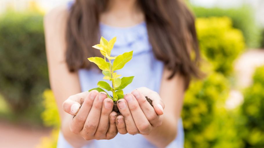 Cotton is reputed to be a notoriously water-intensive crop, but for Earth Day, Cotton Incorporated wants to clear up common misconceptions.