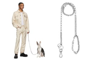 Dog Apparel