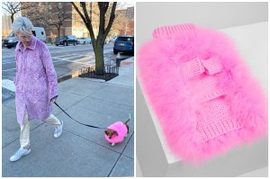 Dog Apparel