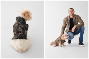 Dog Apparel
