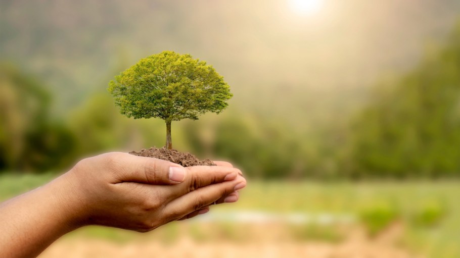 Fashion companies seeking to reduce their eco impact need to look beyond their own operations to the other links in their value chains.