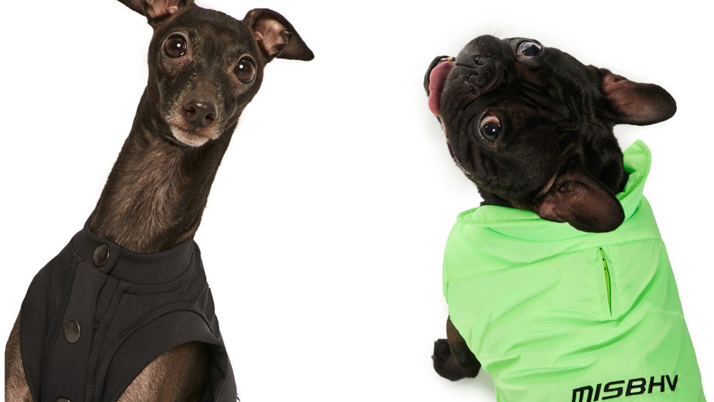 Dog Apparel