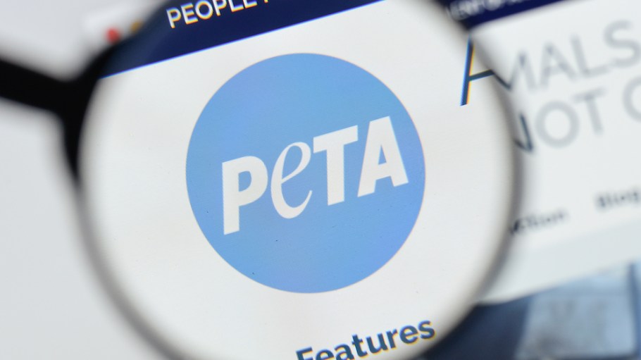 PETA bought shares in Ralph Lauren, Urban Outfitters, Guess and Levi’s to pressure them to use more animal-friendly fibers.