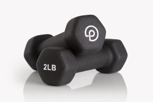 P.volveÕs 2-lb. hand weights.